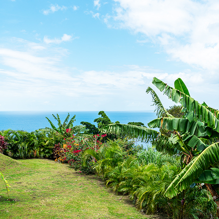 Jardin